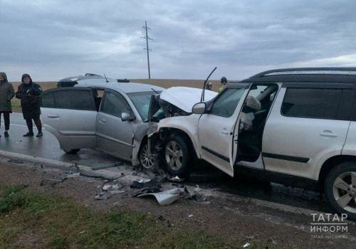 В Лениногорском районе РТ в ДТП погибли женщина и ее двухлетняя дочь