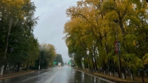В Бугульме ожидается +19 градусов