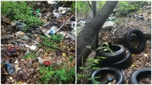 На берегу реки Бугульминка экологи выявили две свалки
