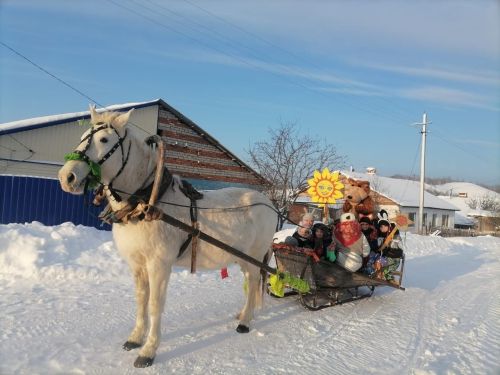 Обряд колядования прошел в селе Старое Сумароково Бугульминского района