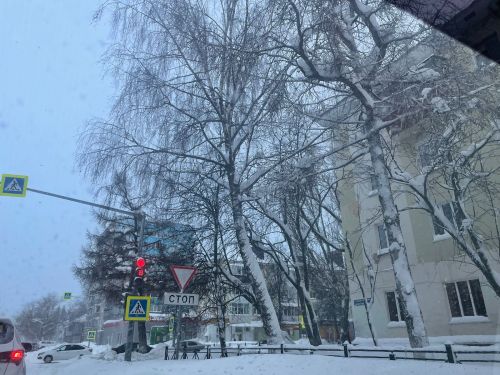 19 января столбики термометров бугульминцев покажут 8 градусов мороза