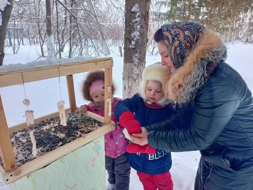 Ежегодную экологическую акцию «Покормите птиц зимой» провели в Бугульминском районе