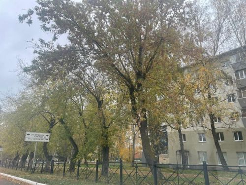 В Бугульме 11 октября похолодает