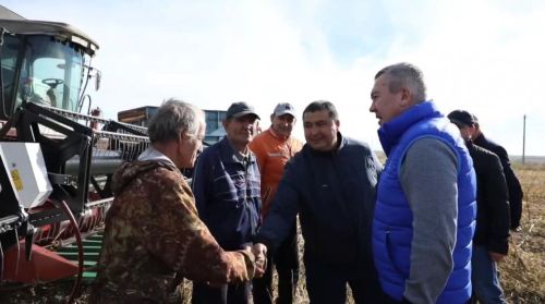 В Бугульминском районе завершается уборка подсолнечника