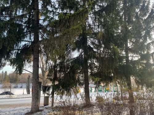 В Бугульме 20 ноября облачно с прояснениями