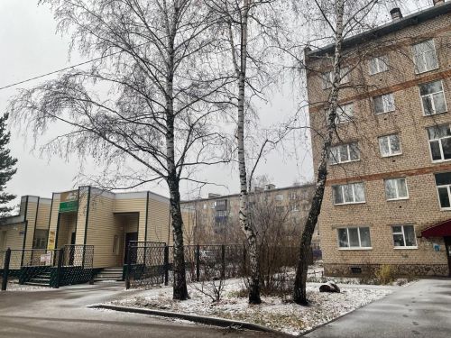В Бугульме 4 ноября переменная облачность, возможен снег