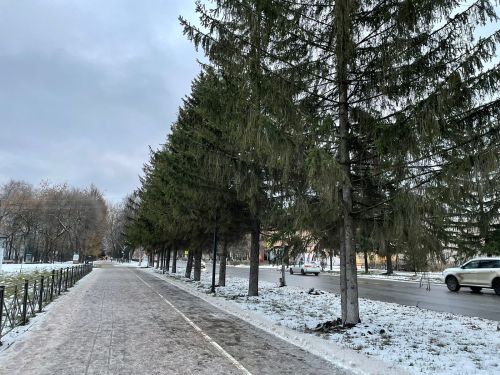 В Бугульме 22 ноября облачно, возможен небольшой снег