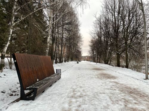 В Бугульме 24 ноября переменная облачность
