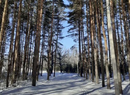 В Бугульме ожидается переменная  облачность