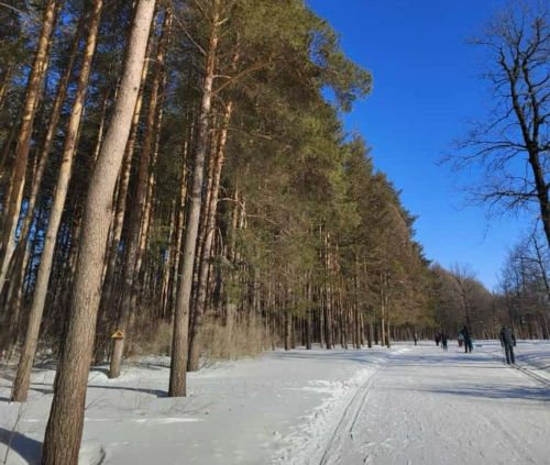 27 февраля в Бугульме будет ясно и морозно
