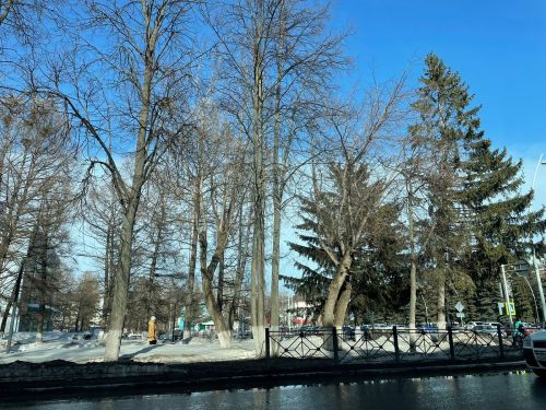В Бугульме 2 апреля будет облачно с прояснениями, без осадков