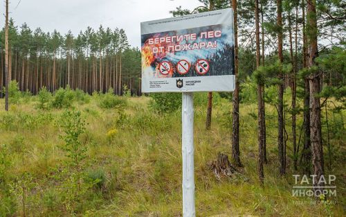 В лесах Бугульминского района начался пожароопасный сезон