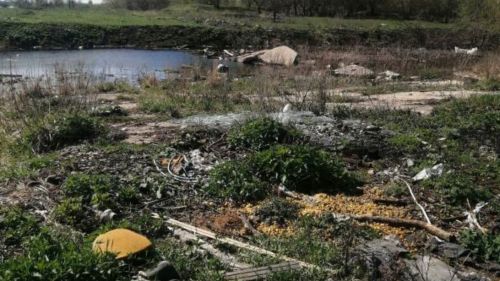Инспекторы Минэкологии обнаружили свалку в Бугульминском районе