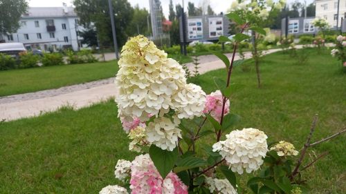 В Бугульме сегодня переменная облачность