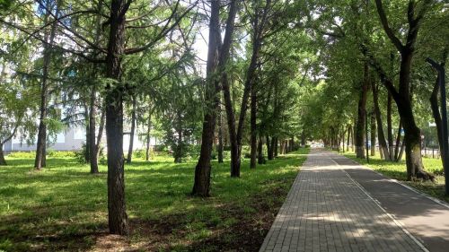 Сегодня, 7 августа, в Бугульме тепло и облачно