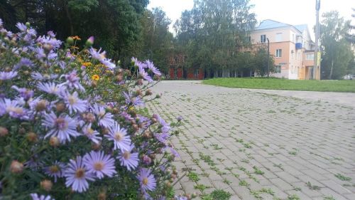 Новая неделя в Бугульме начнется с ясной и солнечной погоды