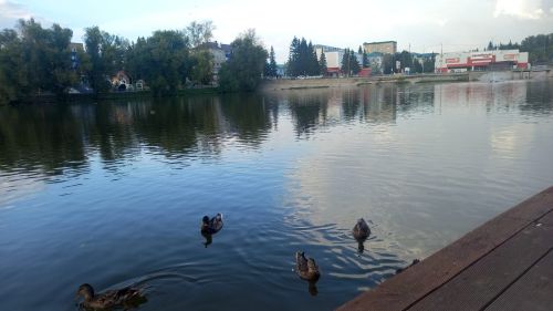 В Бугульме сегодня будет тепло и ясно