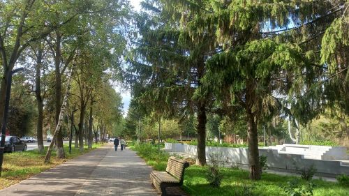 Сегодня в Бугульме до 12 градусов тепла