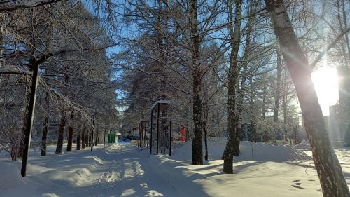 Сегодня в Бугульме ясная и малооблачная погода