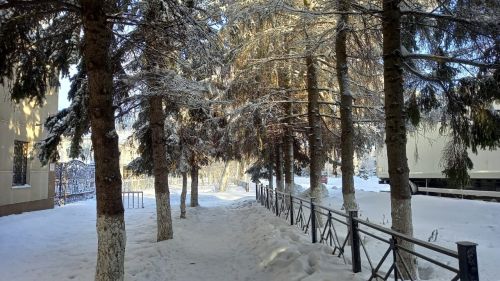 Пасмурная погода ожидается в Бугульме сегодня
