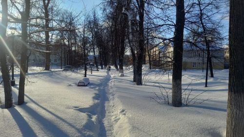 Ясная и морозная погода ожидает бугульминцев в среду