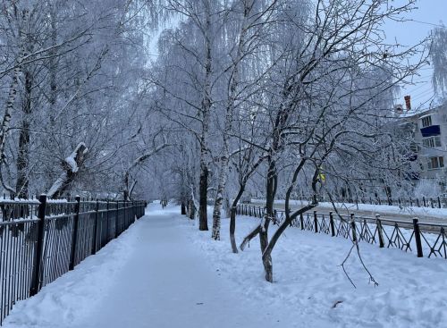 Сегодня слабый снег и умеренный ветер