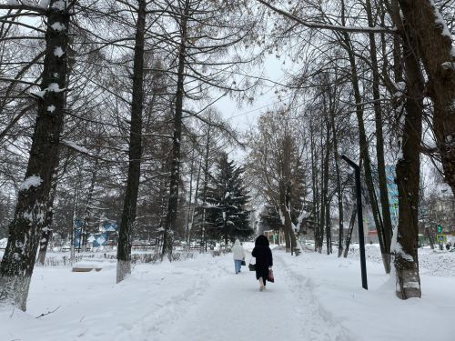 В Бугульме 31 января облачно и тепло