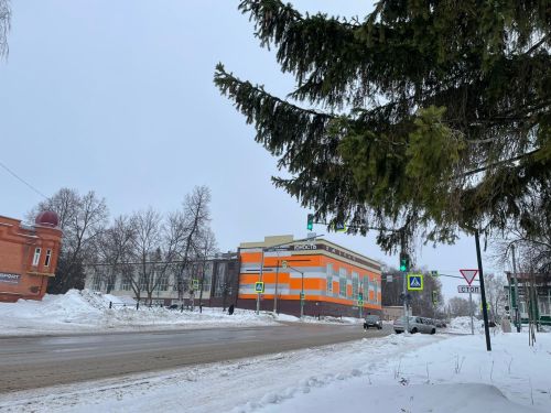 В Бугульме 1 февраля тепло и пасмурно
