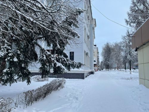 В Бугульме 10 января облачно