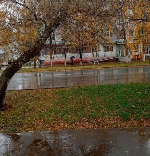Погода в Бугульме 23 октября