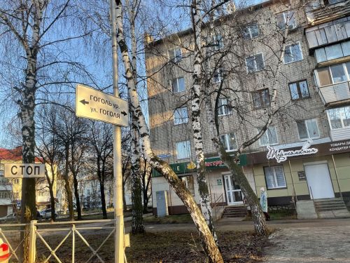 В Бугульме 20 ноября без осадков
