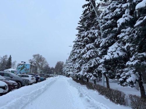Прогноз погоды в Бугульме на 30 декабря