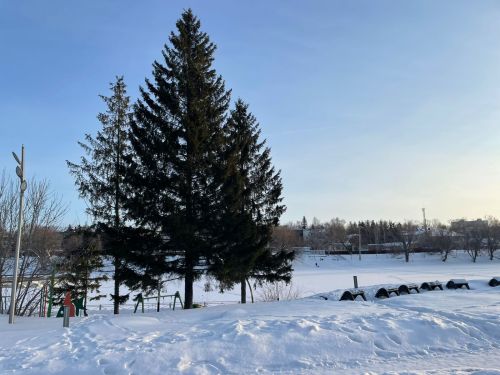 7 февраля в Бугульме малооблачная и морозная погода