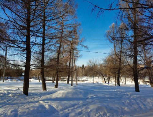 В Бугульме 8 февраля ясная погода