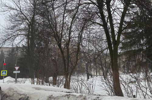 В Бугульме 15 марта переменная облачность