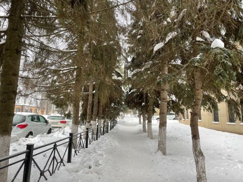 В Бугульме 7 марта тепло и снег