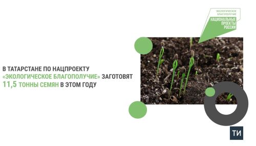 В РТ в рамках национального проекта будет заготовлено 11,5 тонны семян