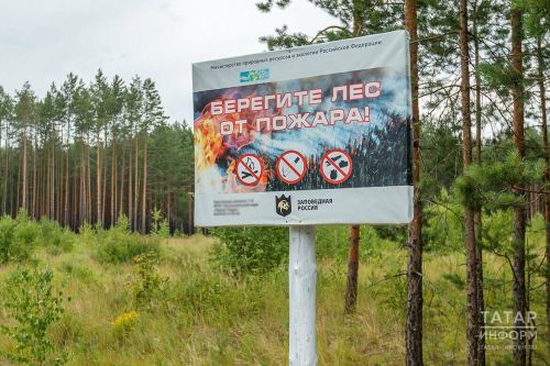 В Татарстане открыт пожароопасный сезон в лесах