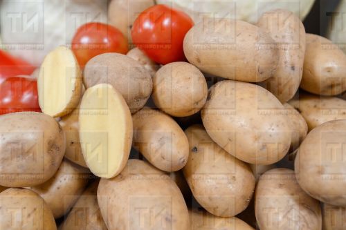 Как избавиться от вредителя - проволочника на картофеле