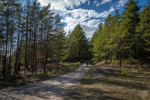 В РТ благодаря нацпроекту создано почти 1,8 тыс. км противопожарных полос