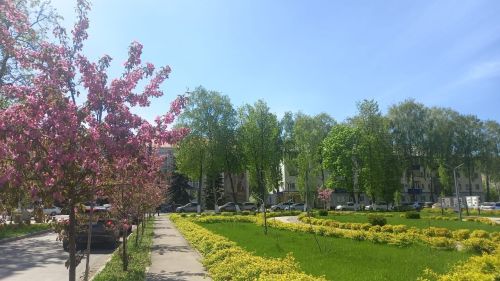 Солнечная, сухая и теплая погода ожидается в Бугульме сегодня