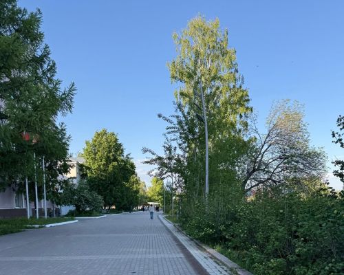 В Бугульме 23 мая переменная облачность