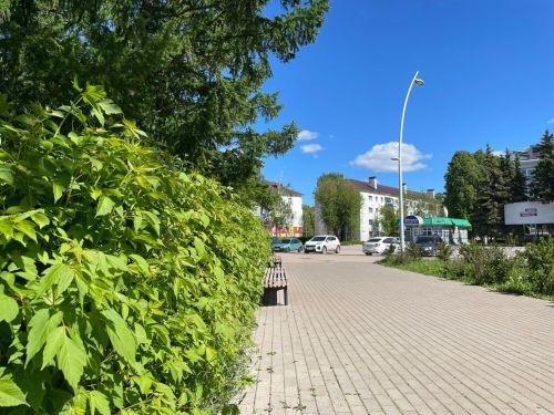 В Бугульме 1 июня переменная облачность