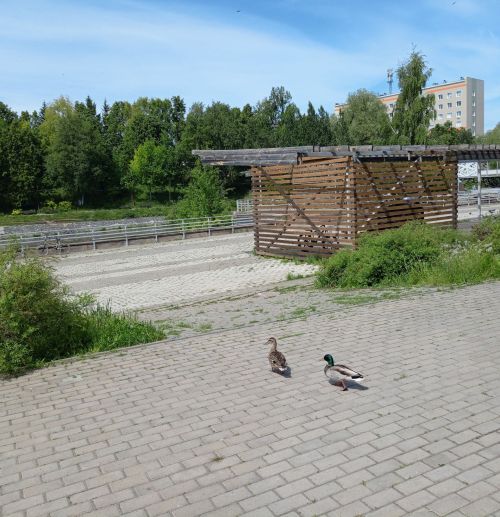 В Бугульме 2 июня облачно с прояснениями
