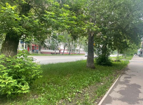 В Бугульме 20 июня облачно с прояснениями