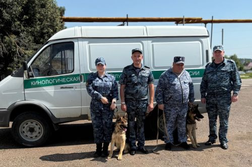 В СИЗО Бугульмы на службу приняли двух новых собак