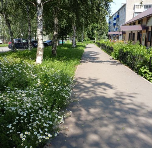 В Бугульме 14 июля небольшая облачность