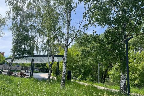 Сегодня в Бугульме до 29 градусов тепла