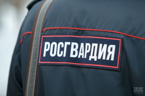 Бөгелмәдә Росгвардия хезмәткәрләре күршесен талауда шикләнелүче ике кешене тоткарлаган