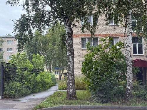 В Бугульме 15 августа облачно с прояснениями
